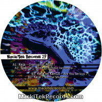 Vinyls : MackiTek Records 29 V2 RP
