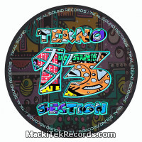 Vinyls : Tekno Section 13